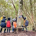 高島縱走 小島田山