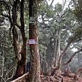 高島縱走 中島田山79