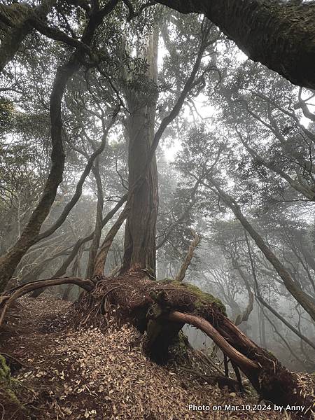 高島縱走83.JPG