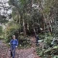 高島縱走第一登山口 112