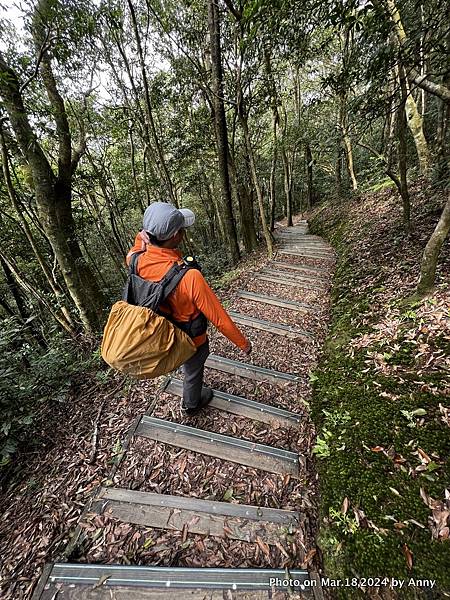 東眼山步道21