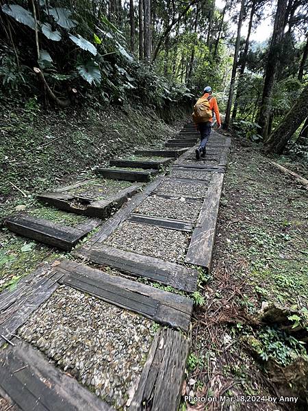 森林知性步道27