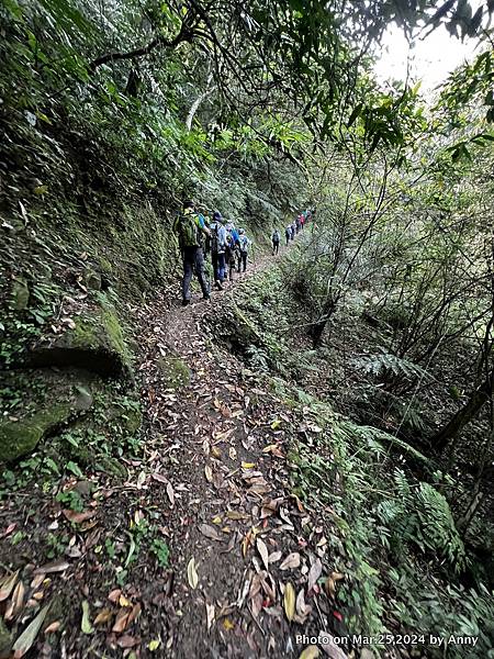 筆架連峰步道15.jpg