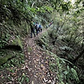 筆架連峰步道15.jpg