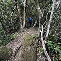 筆架連峰步道30.jpg