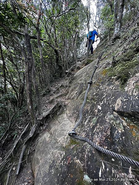 筆架連峰步道43.jpg