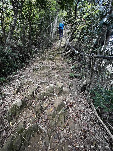 筆架連峰步道41.jpg