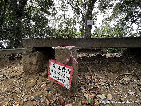 筆架連峰步道  炙子頭山61