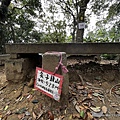 筆架連峰步道  炙子頭山61