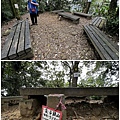 筆架連峰步道 炙子頭山9