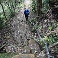 筆架連峰步道64.jpg