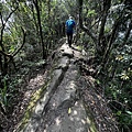 筆架連峰步道89.jpg