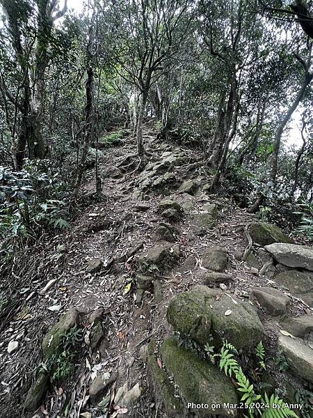 二格山步道1.jpg