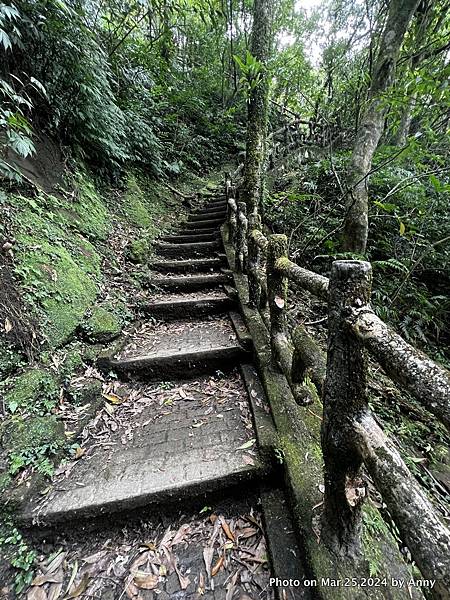 二格山步道3.jpg