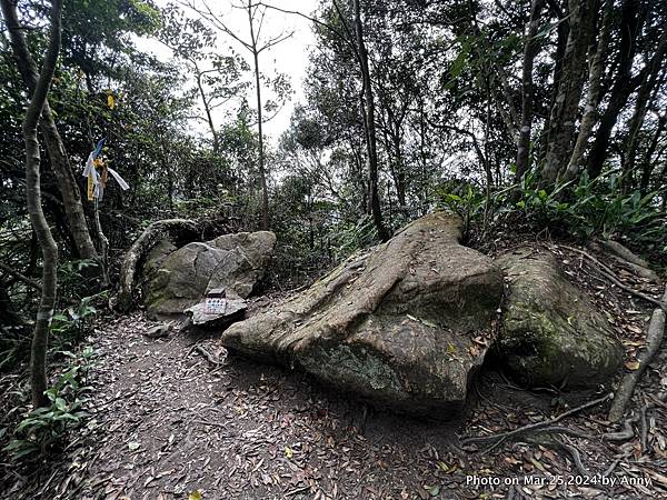 二格山步道 南邦寮山13