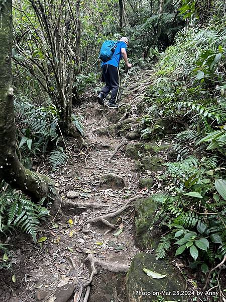 二格山步道16.jpg