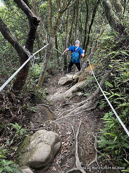 二格山步道12.jpg