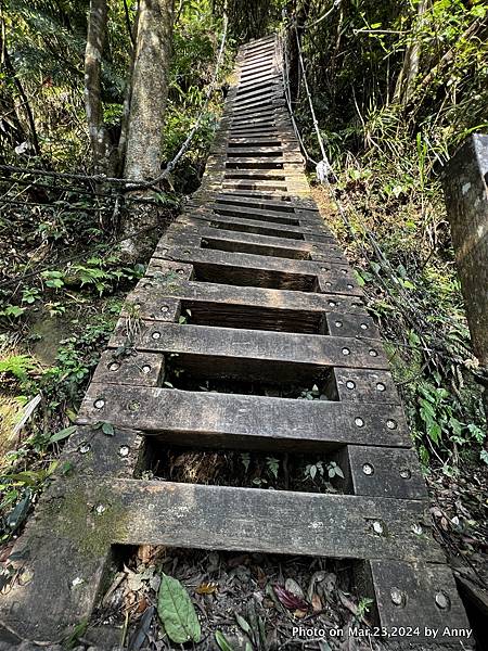 新店獅仔頭山步道 獅仔頭山崖梯 22