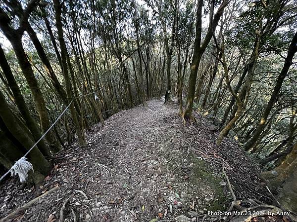 新店獅仔頭山步道27