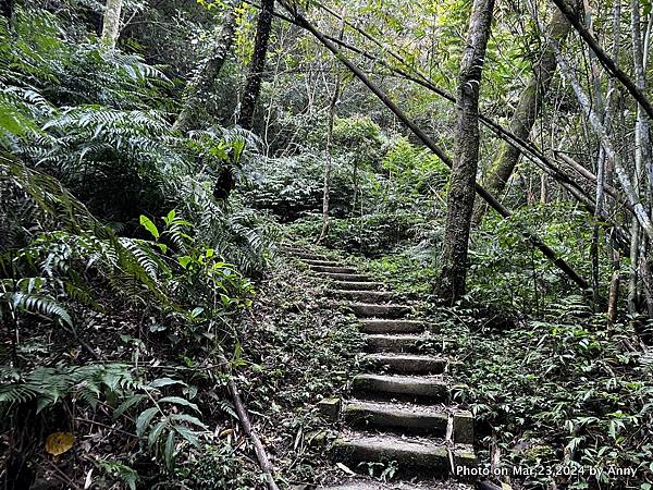 新店獅仔頭山步道44