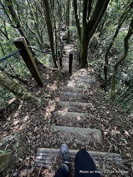 新店獅仔頭山步道52