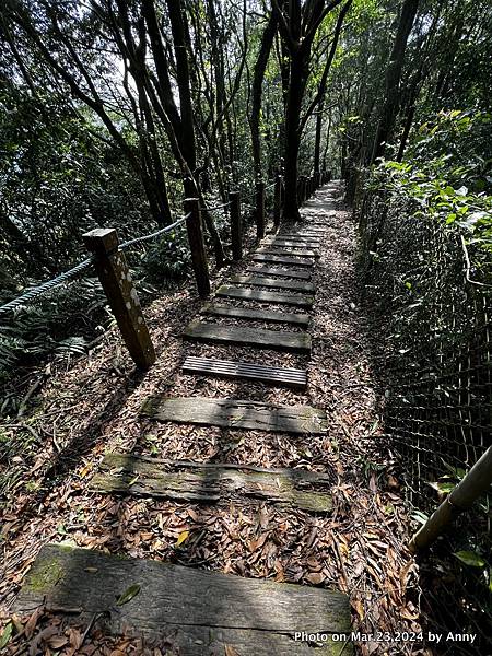 新店獅仔頭山步道55