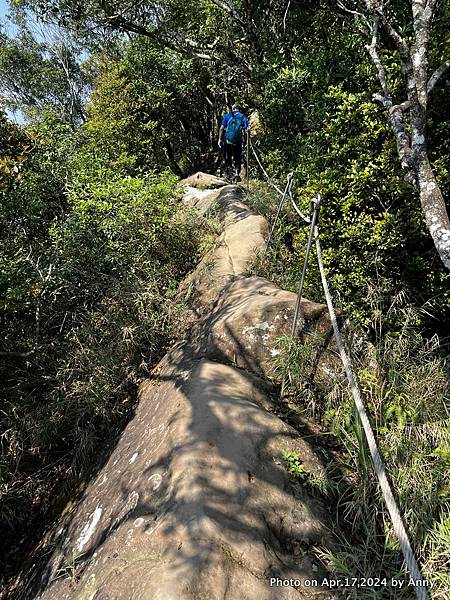 五寮尖步道64.JPG