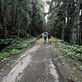 民都有山登山步道 面托油山步道9.JPG