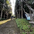 民都有山登山步道 面托油山步道15.JPG