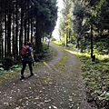 民都有山登山步道 面托油山步道11.JPG
