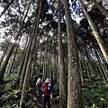 民都有山登山步道 面托油山步道17.JPG