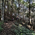 民都有山登山步道 面托油山步道20.JPG