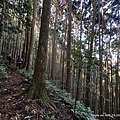 民都有山登山步道 面托油山步道21.JPG