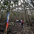 民都有山登山步道 面托油山步道27.JPG