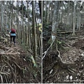 民都有山登山步道 面托油山步道3.JPG