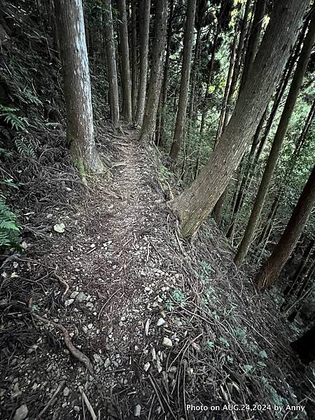 民都有山登山步道 面托油山步道26.JPG