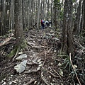 民都有山登山步道 面托油山步道31.JPG