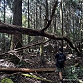 民都有山登山步道 面托油山步道37.JPG