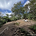 民都有山登山步道 面托油山步道45.JPG