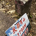 民都有山三角點 面托油山三角點43