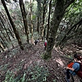 民都有山登山步道 面托油山步道46.JPG