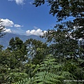 民都有山登山步道 面托油山步道44.JPG