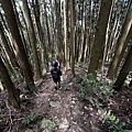 民都有山登山步道 面托油山步道50.JPG
