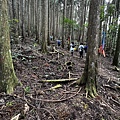 民都有山登山步道 面托油山步道52.JPG