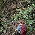 民都有山登山步道 面托油山步道57.JPG
