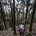 民都有山登山步道 面托油山步道53.JPG