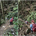 民都有山登山步道 面托油山步道7.JPG