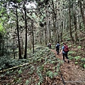 民都有山登山步道 面托油山步道58.JPG
