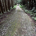 民都有山登山步道 面托油山步道61.JPG