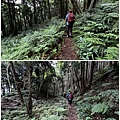 民都有山登山步道 面托油山步道8.JPG